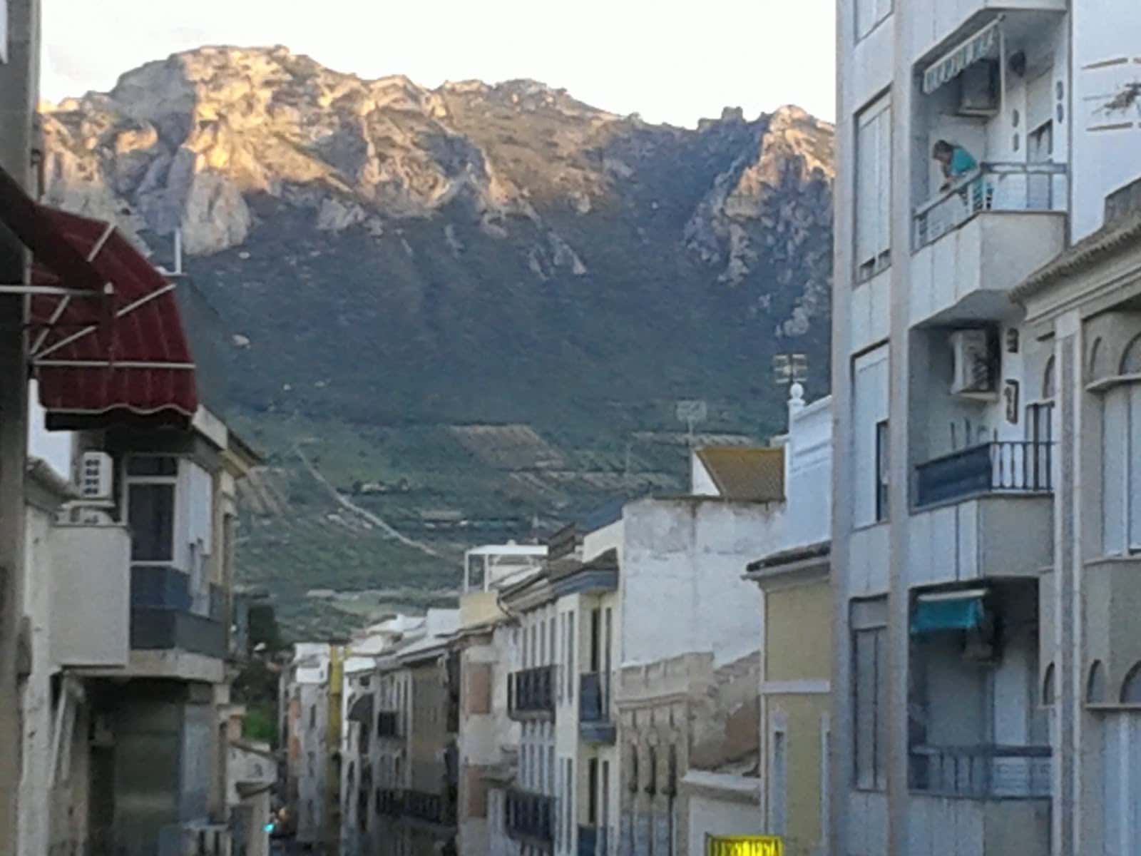 Clínica Veterinaria Caballero