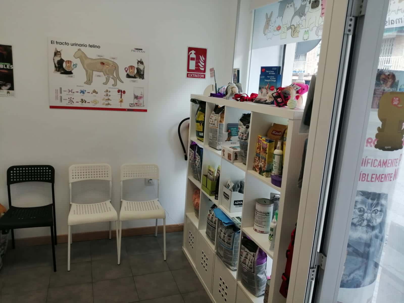 centro veterinario peragon veterinario centro barrio jaen en jaen en jaen principalImage ADOPTA Sitios Pet Friendly