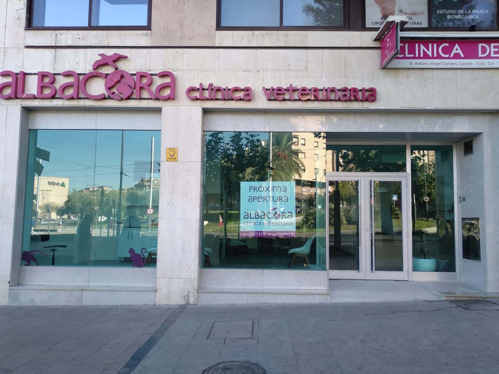 hospital veterinario albacora veterinario hospital barrio jaen en jaen en jaen principalImage ADOPTA Sitios Pet Friendly