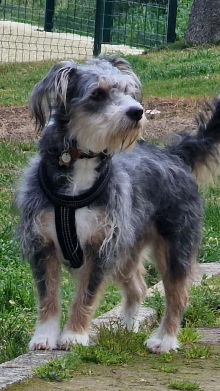 Clínica Veterinaria Clinican