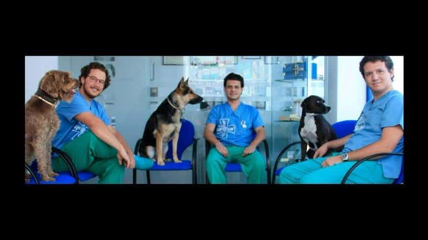 clinica veterinaria clinican veterinario clinica barrio jaen en jaen en jaen principalImage ADOPTA Sitios Pet Friendly