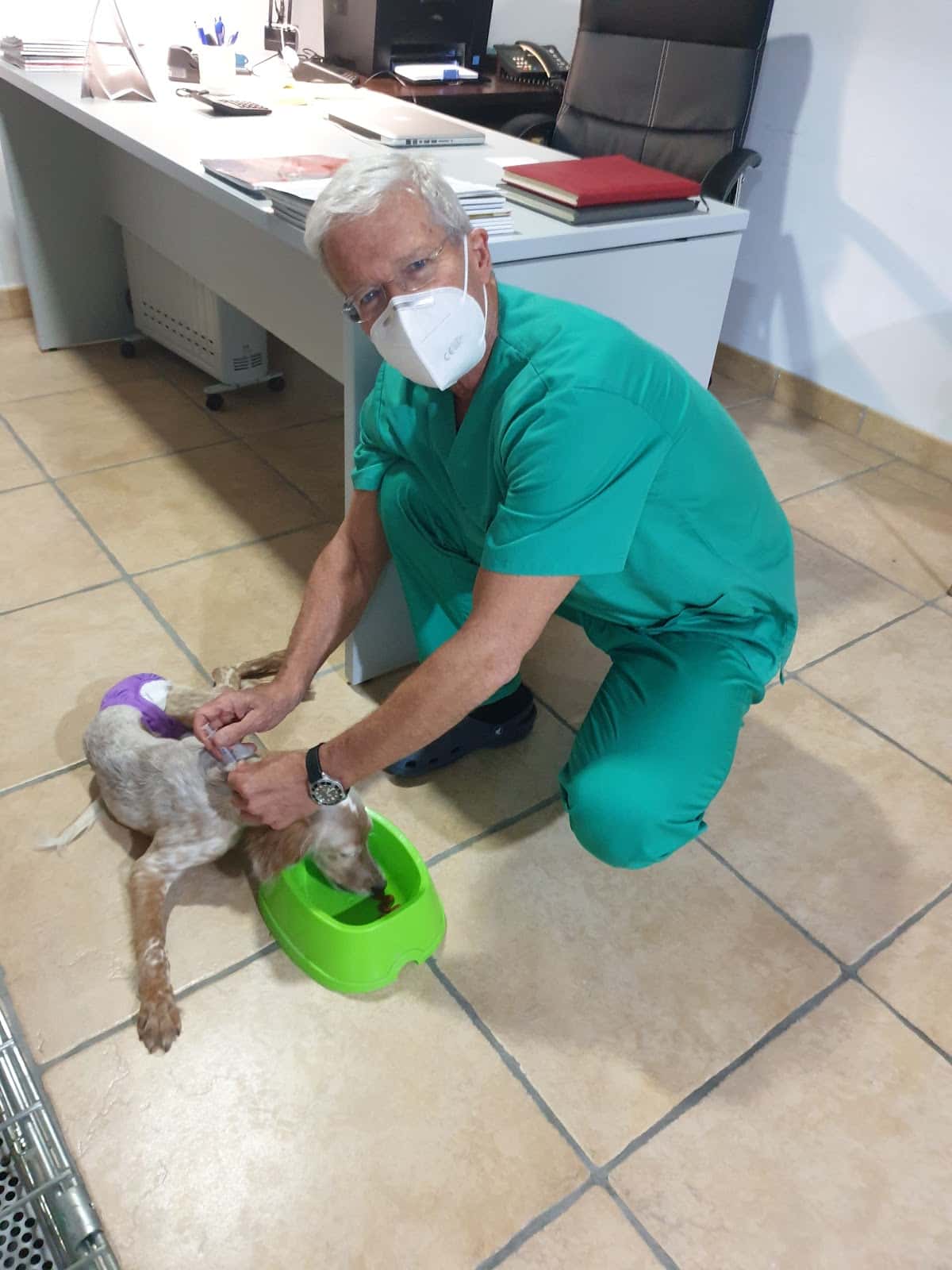 CLÍNICA VETERINARIA SÁNCHEZ Y RIBES