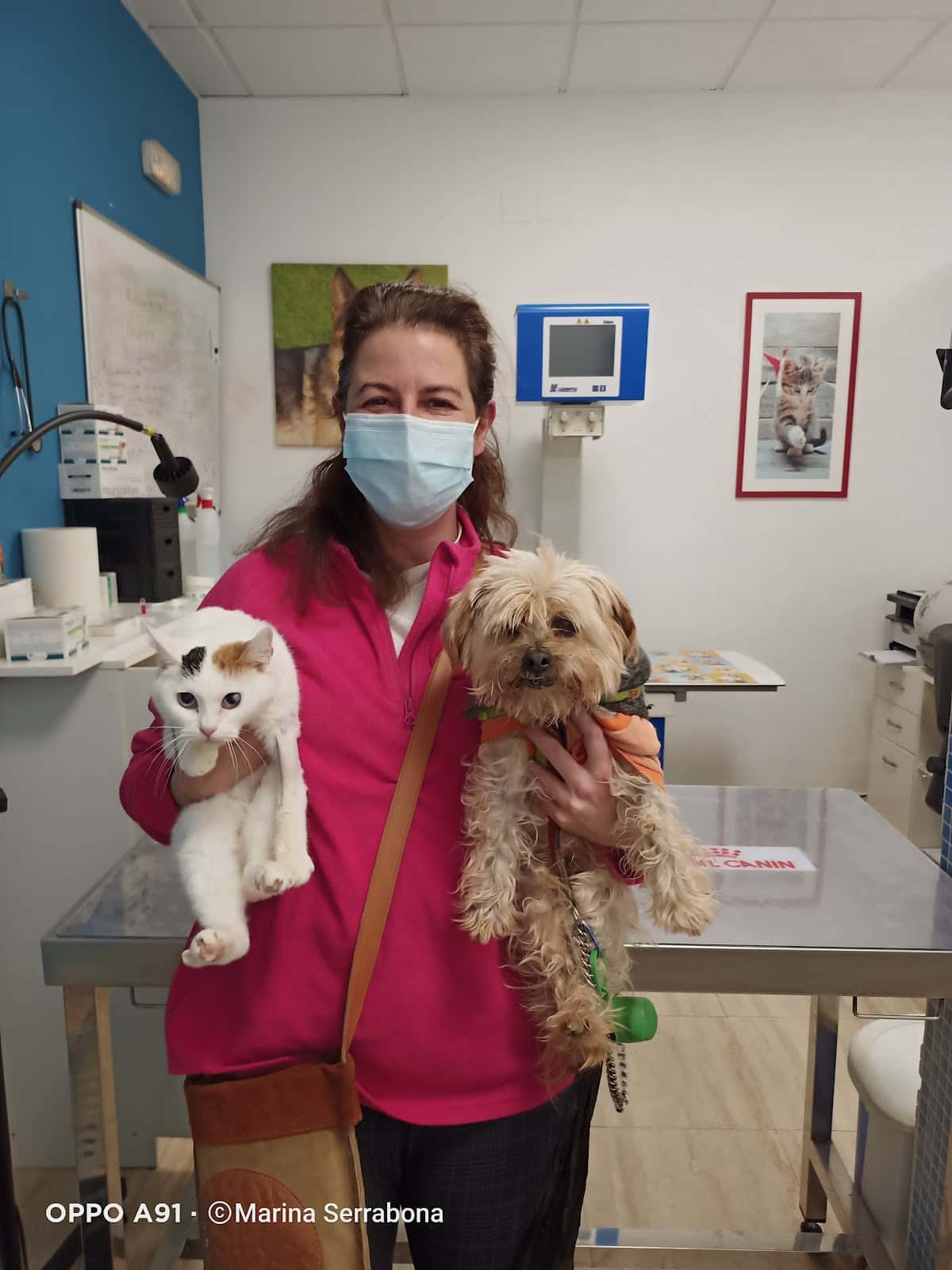 Centro Veterinario El Valle