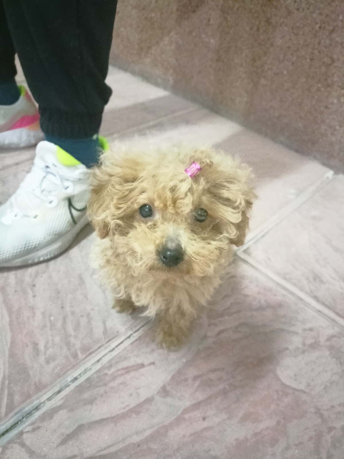Centro Veterinario El Valle