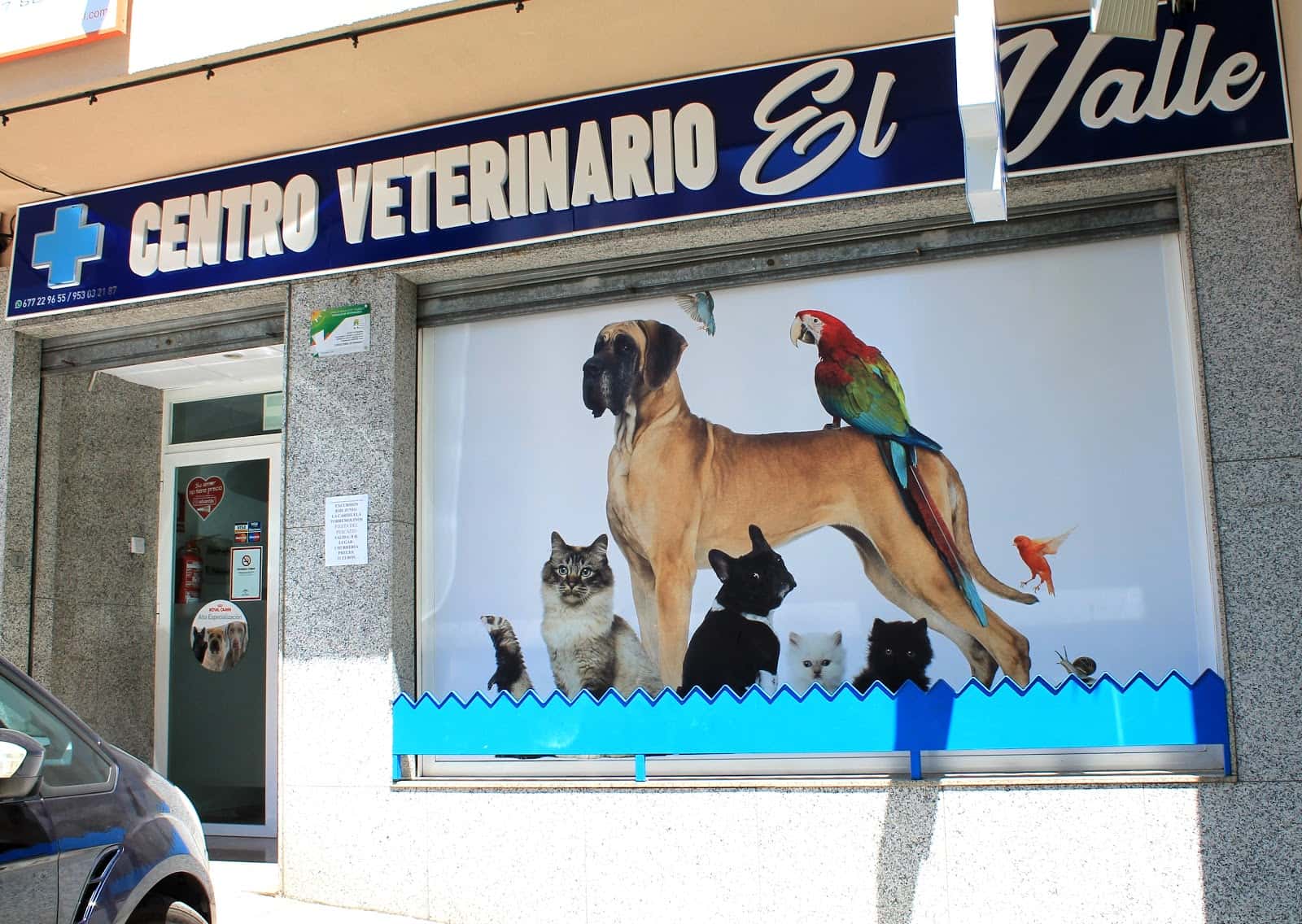 centro veterinario el valle veterinario centro barrio jaen en jaen en jaen principalImage ADOPTA Sitios Pet Friendly