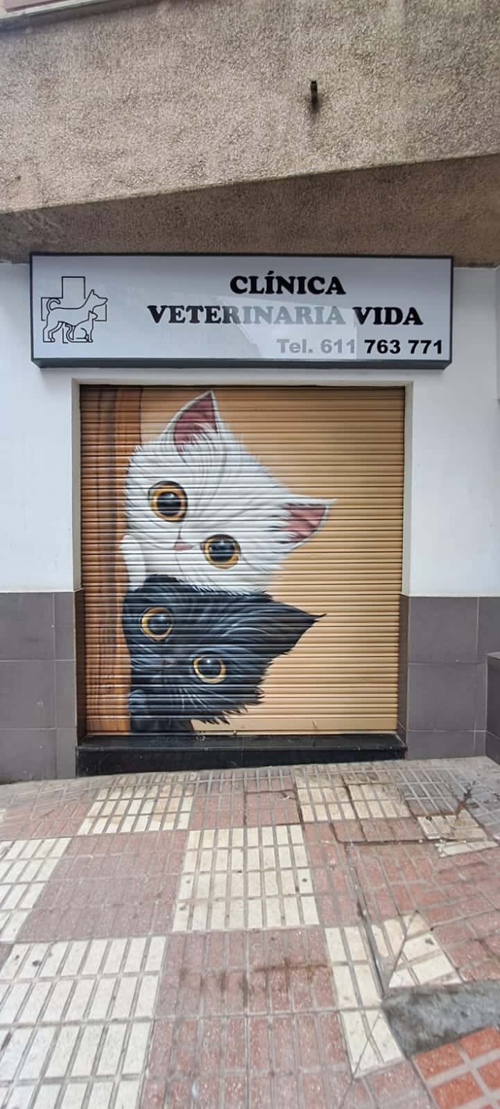Clinica Veterinaria VIDA