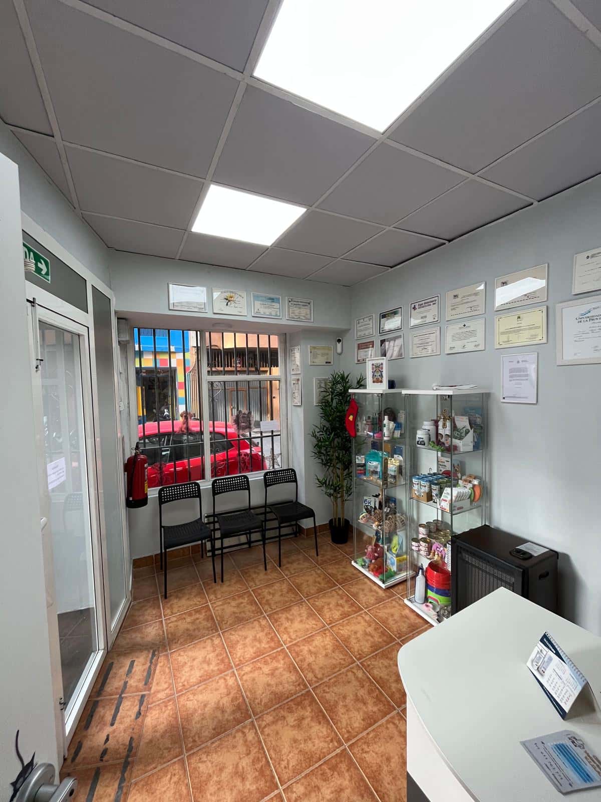 clinica veterinaria vida veterinario clinica barrio jaen en jaen en jaen principalImage ADOPTA Sitios Pet Friendly