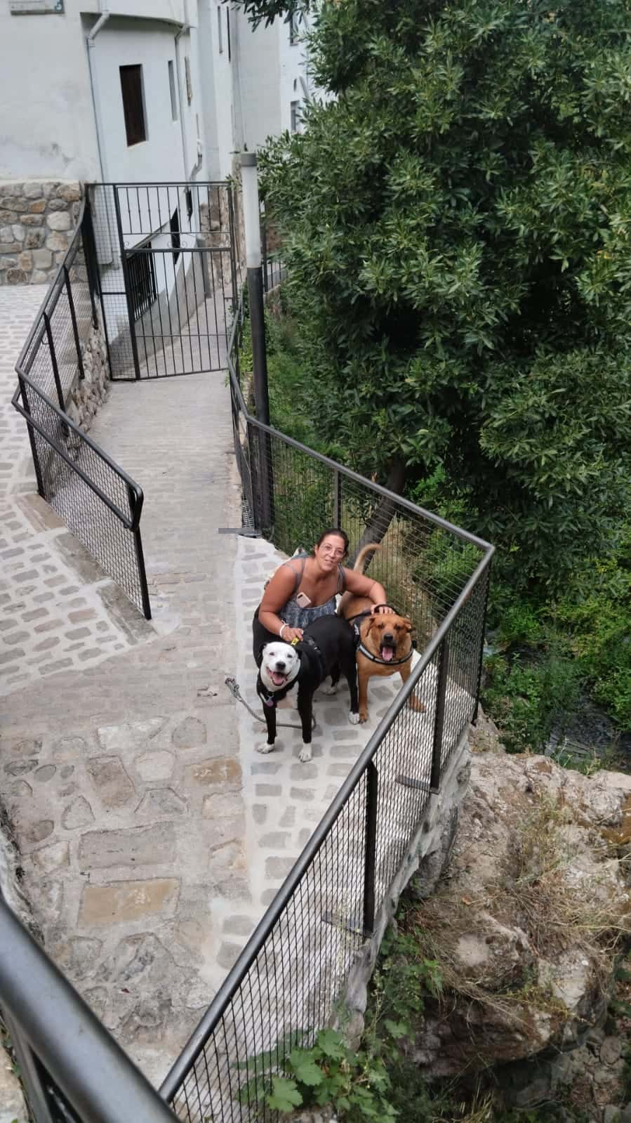 CENTRO VETERINARIO JURADO