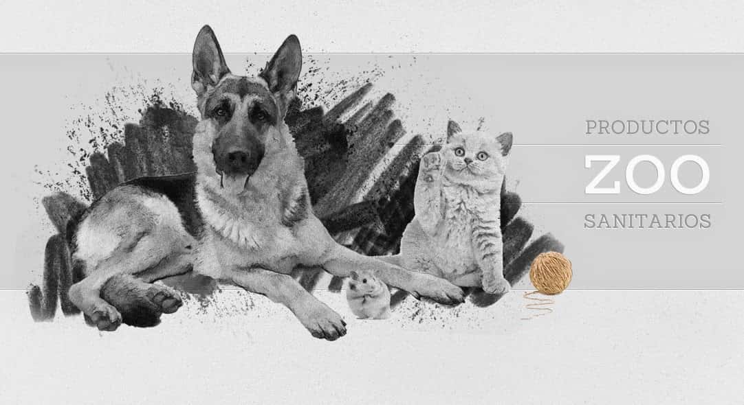 PET'S WORLD S.L.