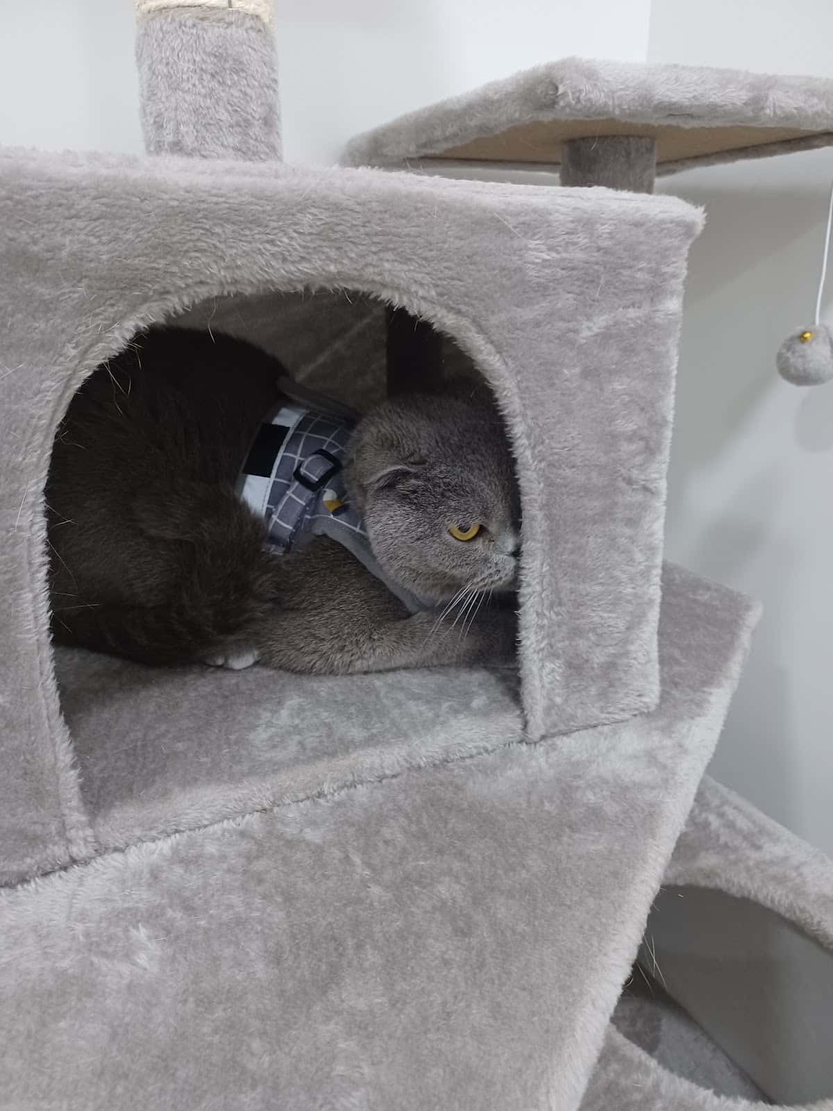 CLÍNICA VETERINARIA DEL ESLA