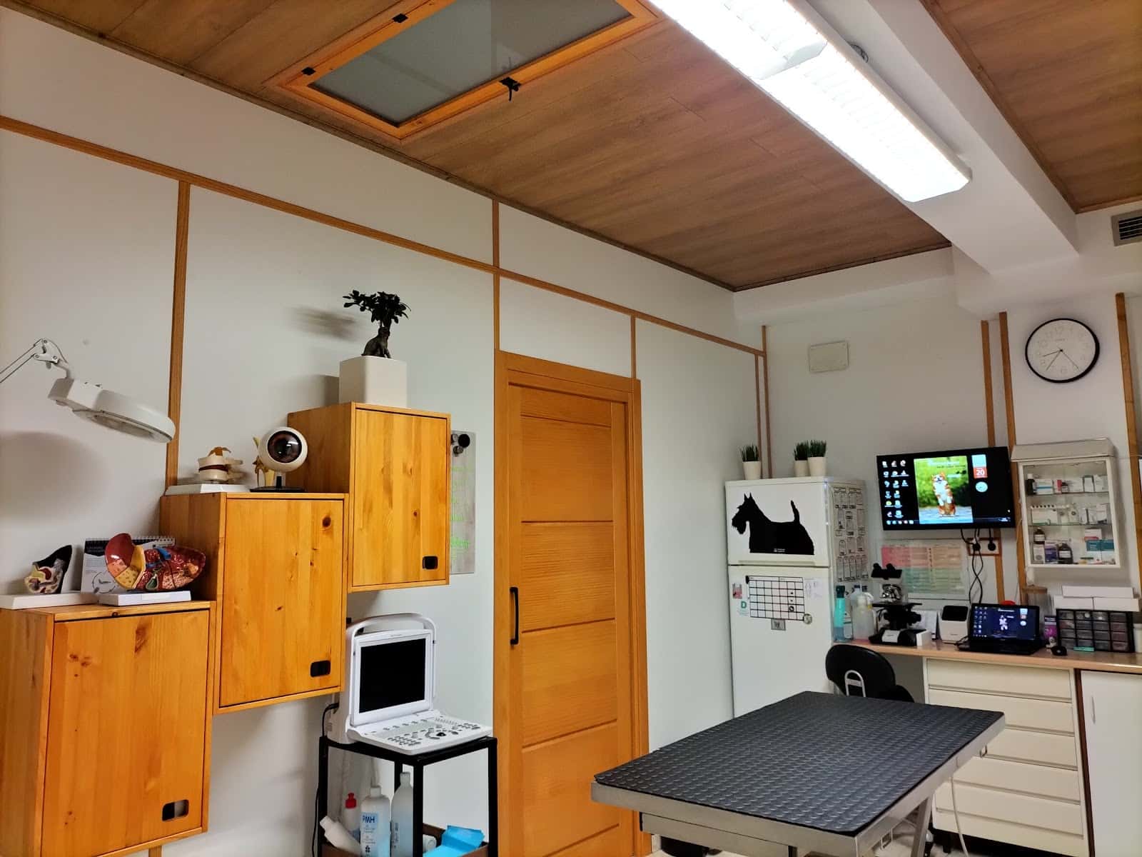 Clínica Veterinaria Astorga