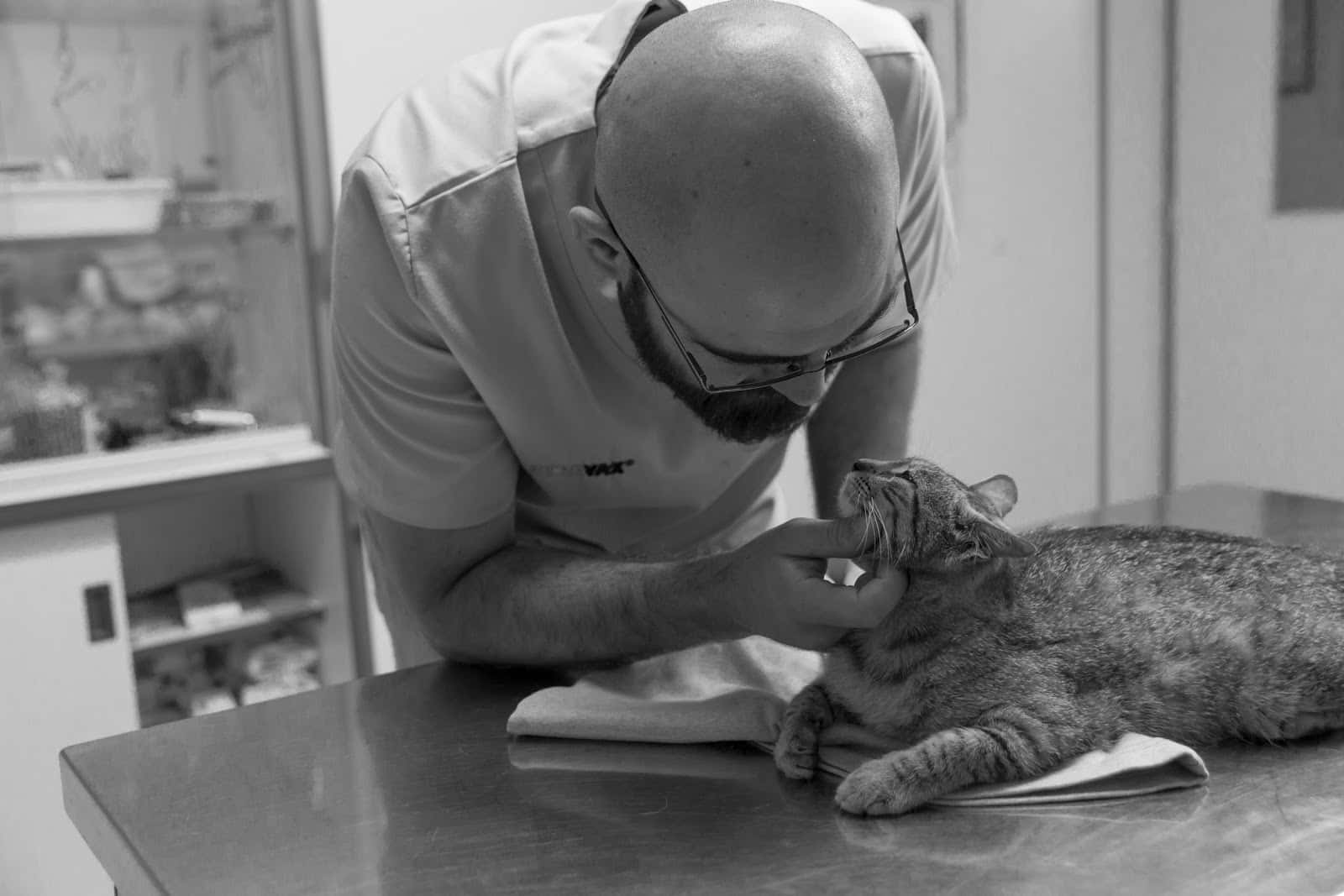 clinica veterinaria astorga veterinario clinica en astorga en leon principalImage ADOPTA Sitios Pet Friendly