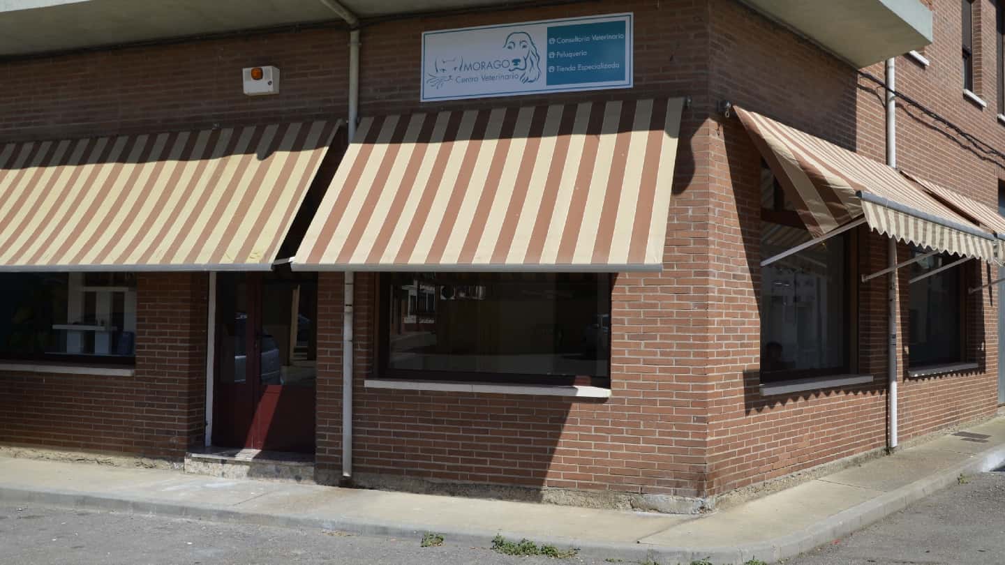 Centro Veterinario Morago