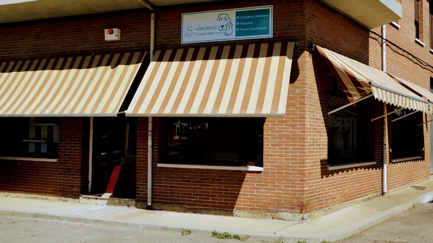 Centro Veterinario Morago