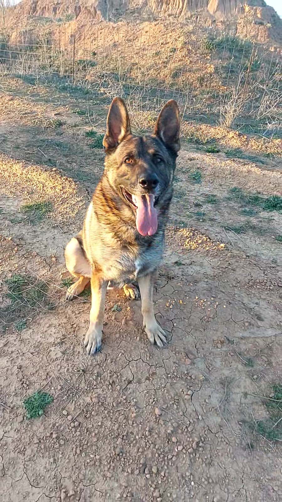 Clínica Veterinaria Salgado - Centeno