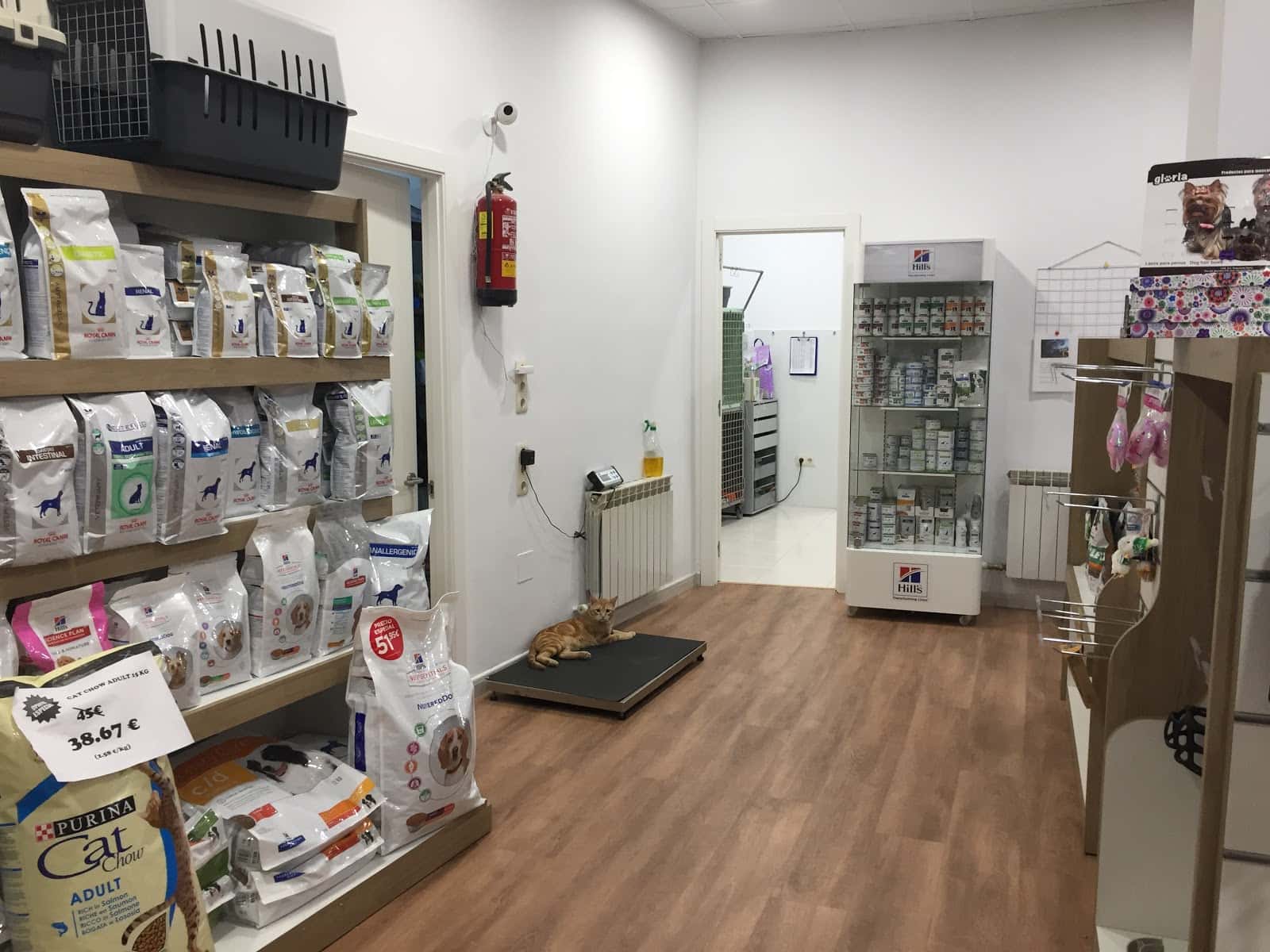 Clínica Veterinaria Benavente