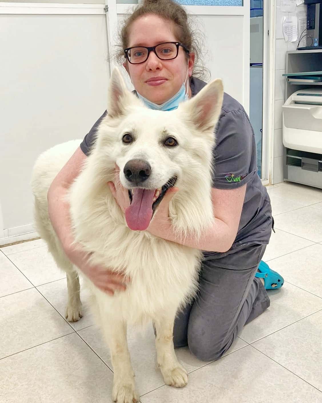 Clínica Veterinaria Benavente