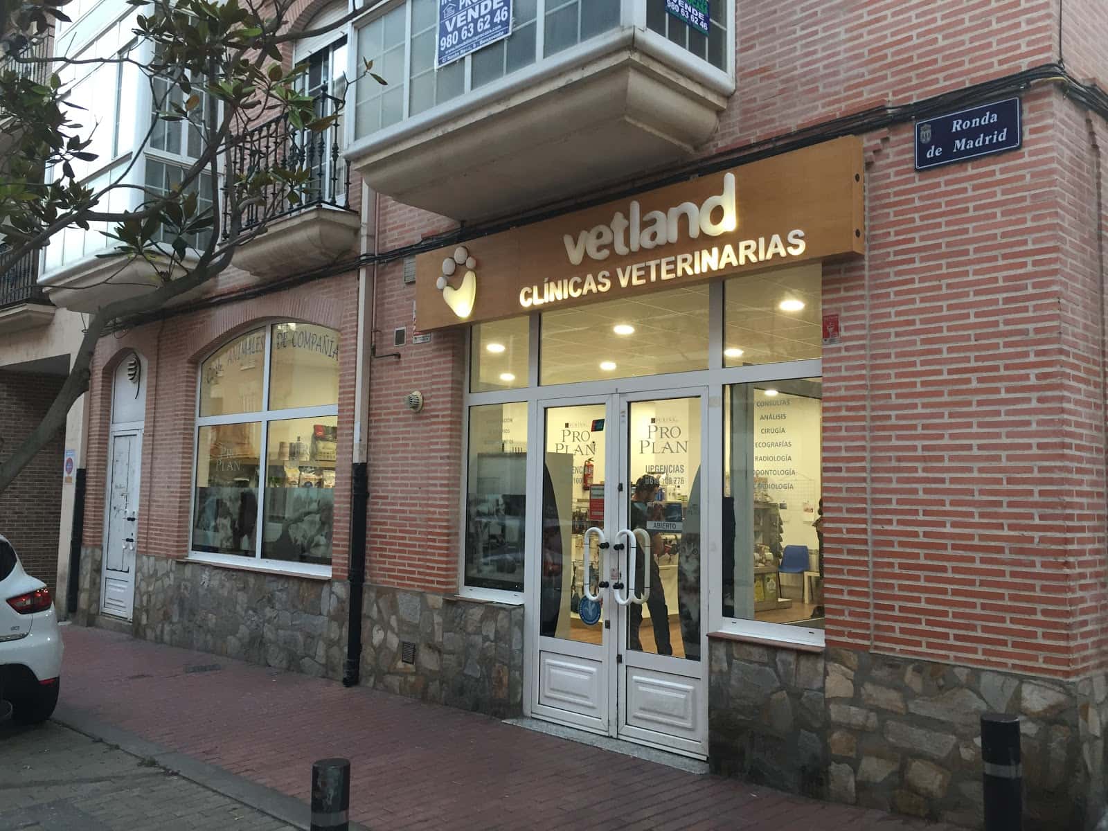 clinica veterinaria benavente veterinario clinica en benavente en zamora principalImage ADOPTA Sitios Pet Friendly