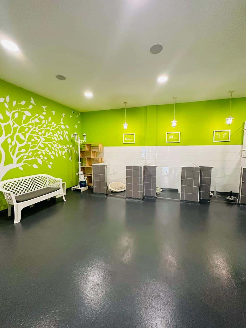clinica veterinaria la baneza veterinario clinica en la baneza en leon principalImage ADOPTA Sitios Pet Friendly