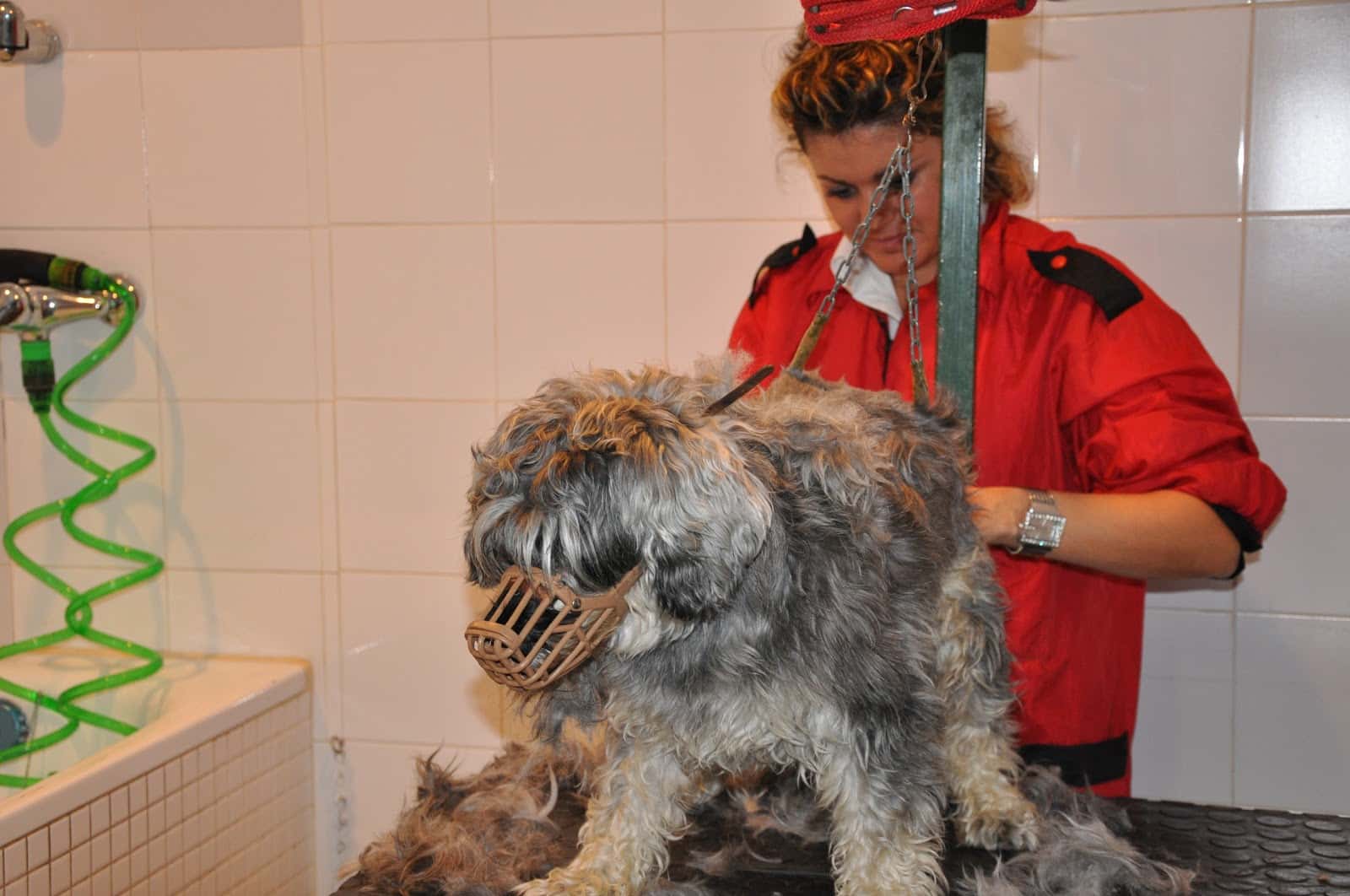 Clínica Veterinaria La Mota