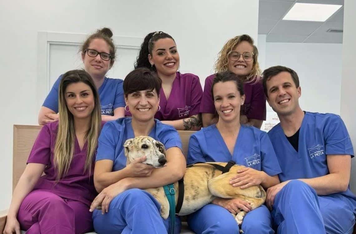 clinica veterinaria la mota veterinario clinica en benavente en zamora principalImage ADOPTA Sitios Pet Friendly