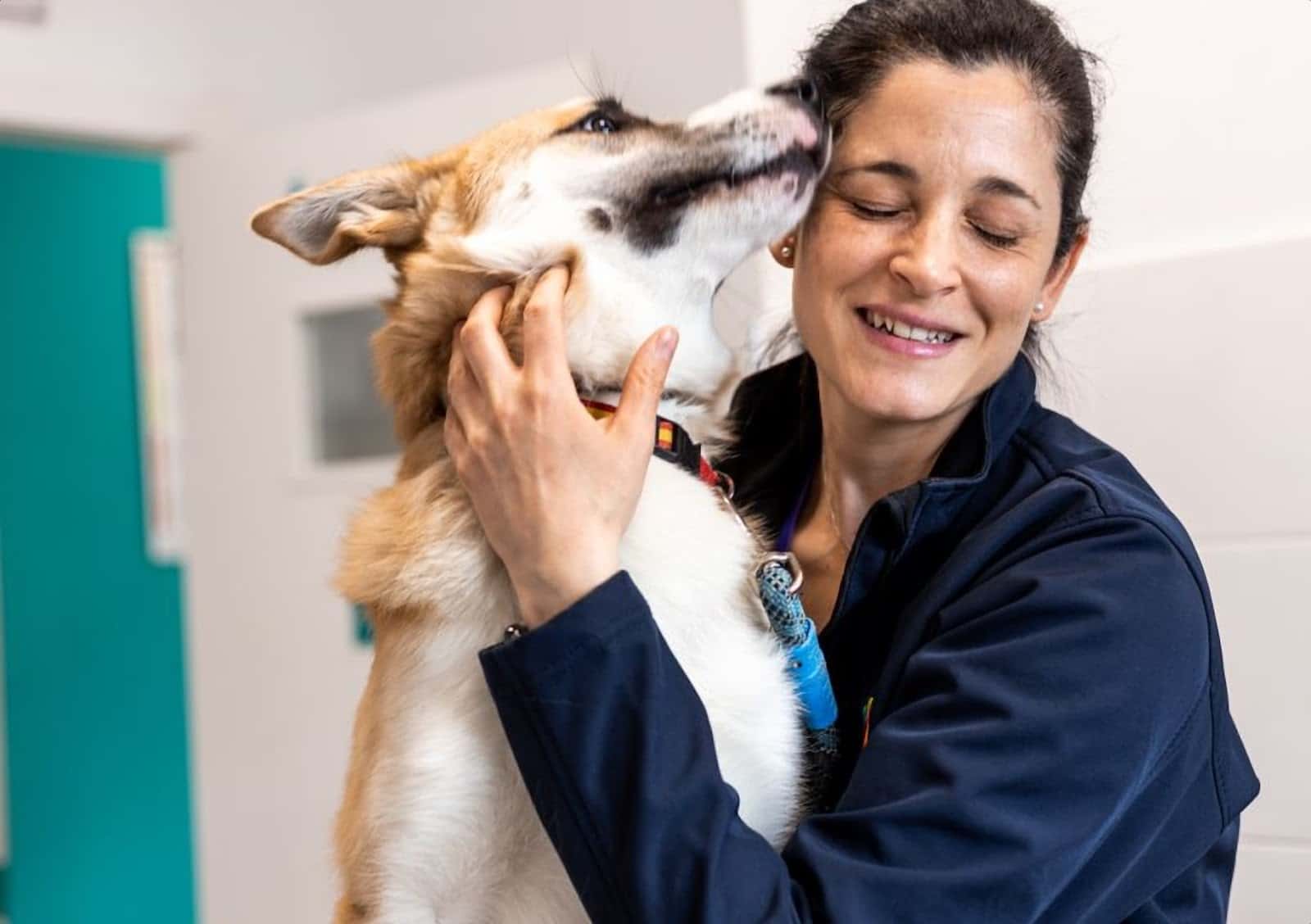 Clínica Veterinaria Bierzoo Bembibre