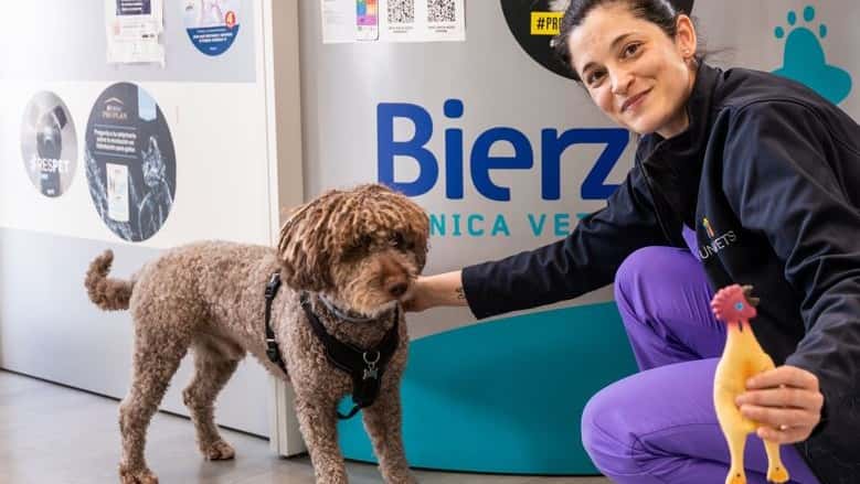 clinica veterinaria bierzoo bembibre veterinario clinica en bembibre en leon principalImage ADOPTA Sitios Pet Friendly