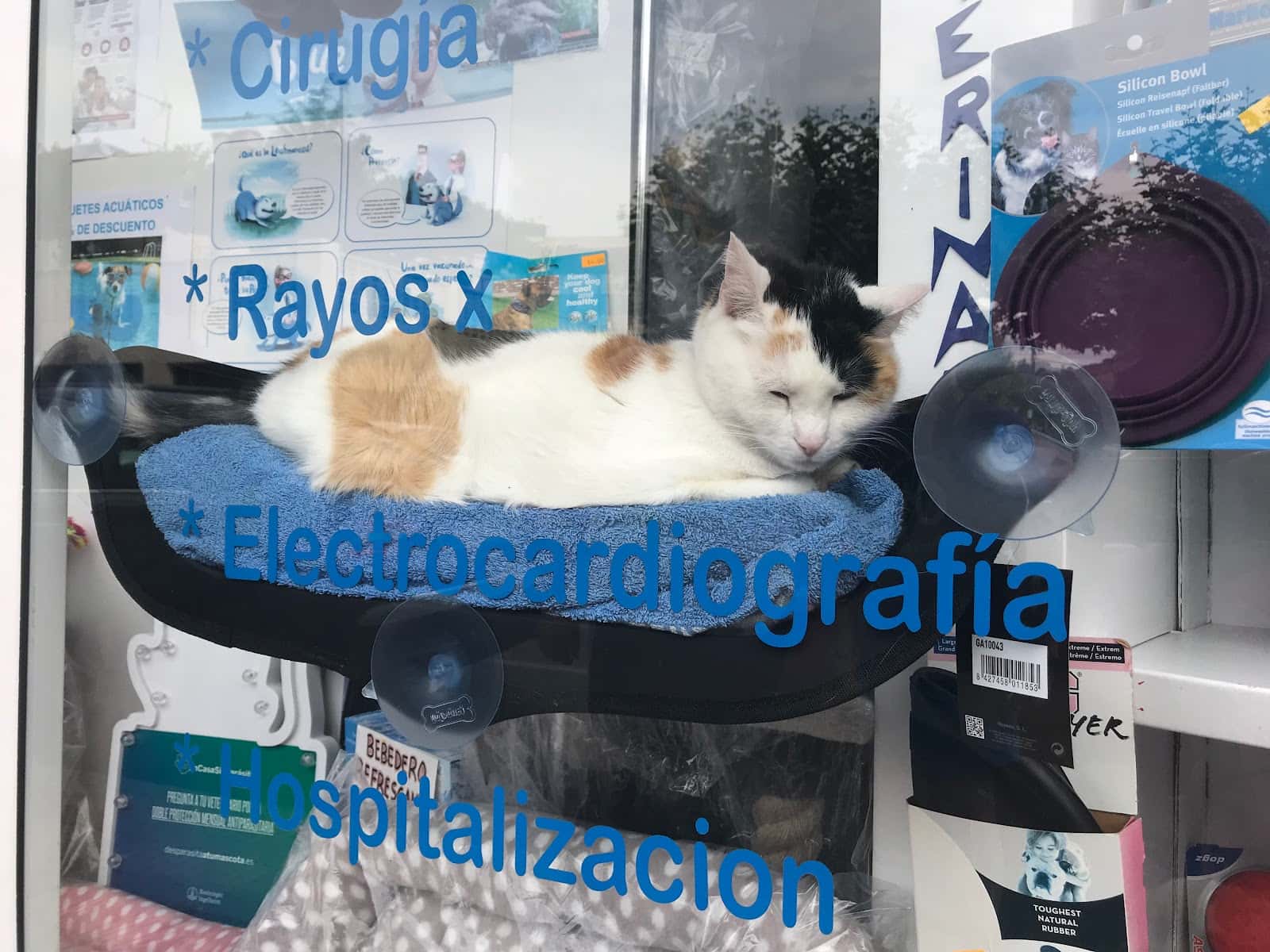 Clínica Veterinaria de Bembibre