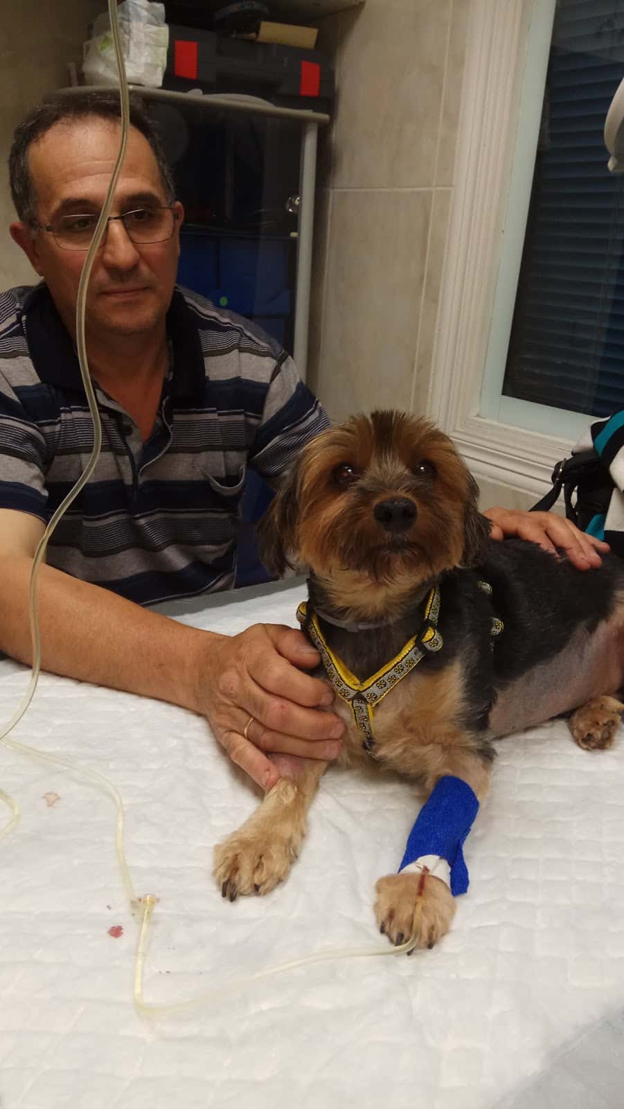 CLINICA VETERINARIA SAMPRON