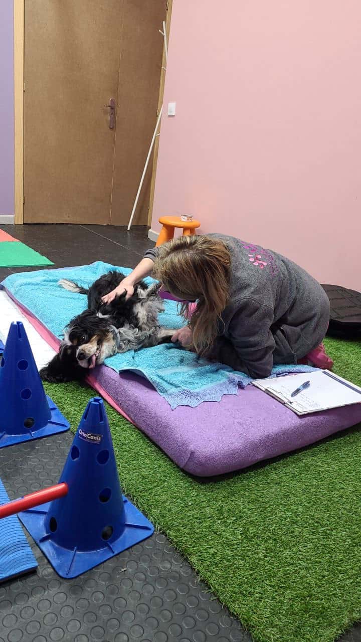 Centro Veterinario Huellas en El Bierzo