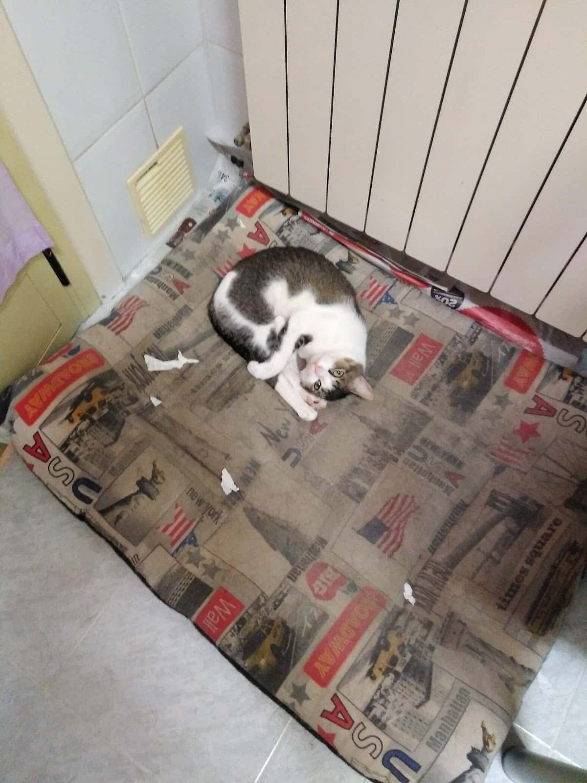 Clínica Veterinaria Ponferrada