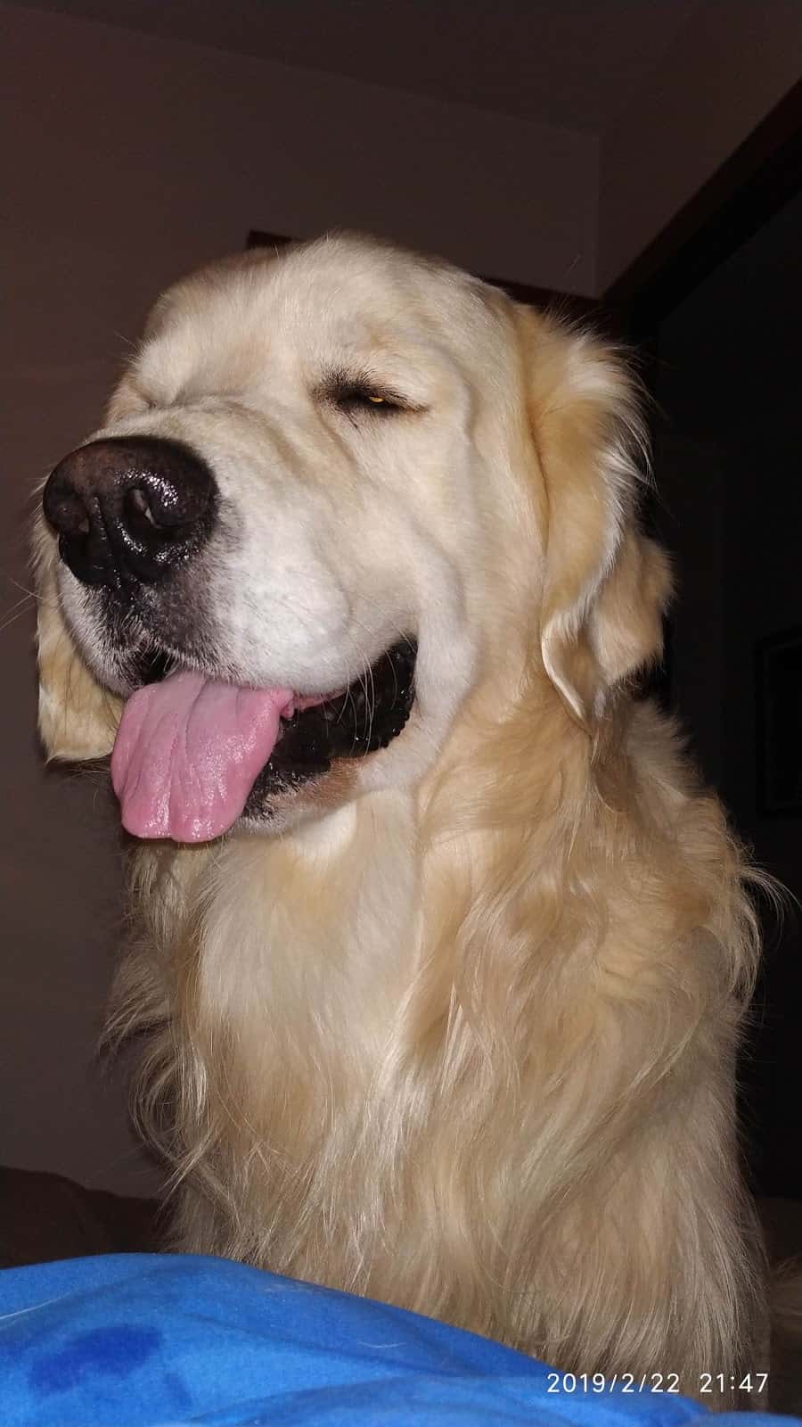 Clínica Veterinaria Ponferrada