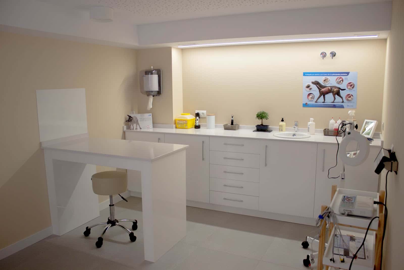 clinica veterinaria salvora veterinario clinica en ponferrada en leon principalImage ADOPTA Sitios Pet Friendly