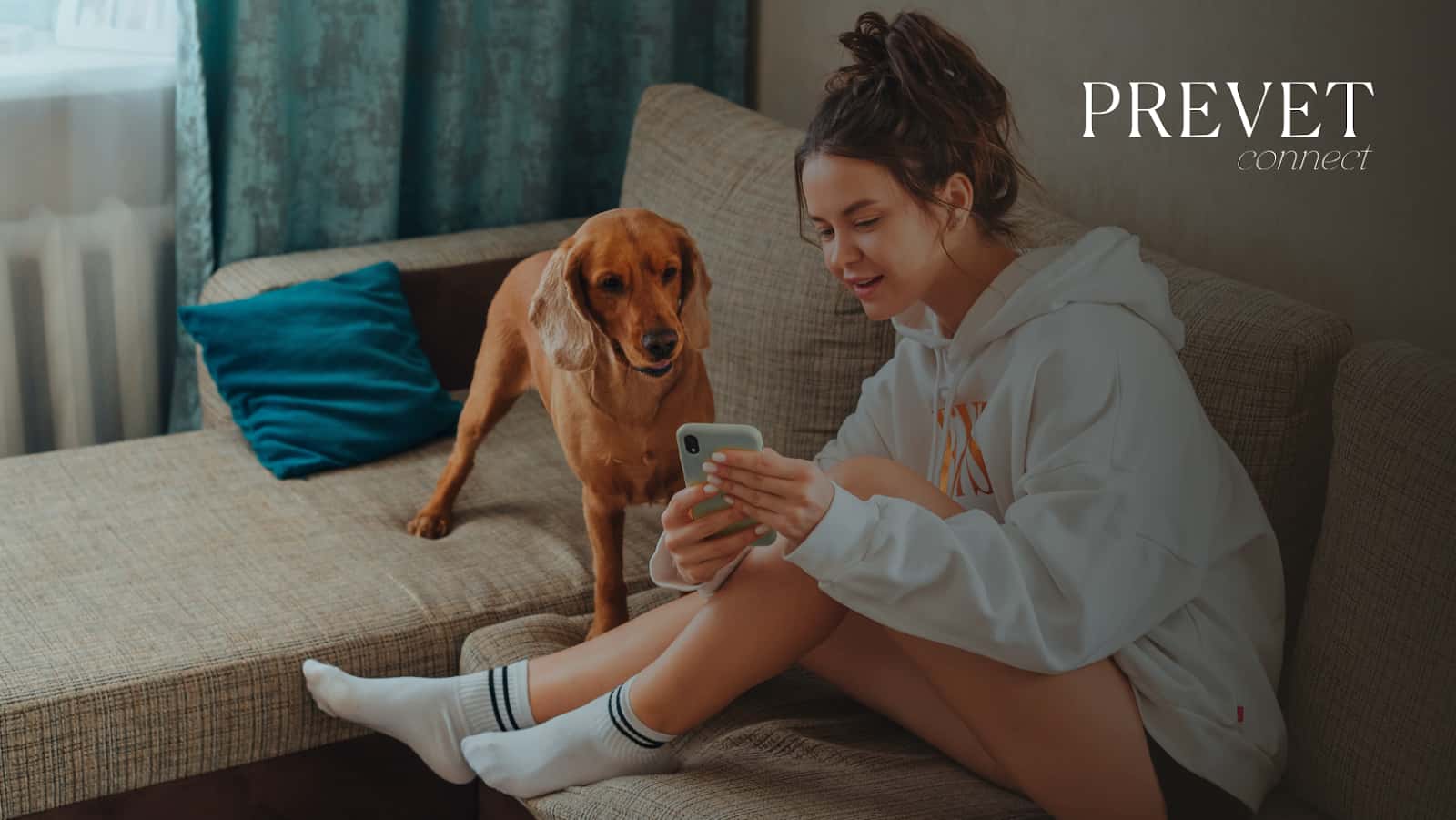 prevetconnect veterinario centro en ponferrada en leon principalImage ADOPTA Sitios Pet Friendly