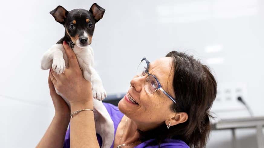 clinica veterinaria bierzoo cacabelos veterinario clinica en cacabelos en leon principalImage ADOPTA Sitios Pet Friendly