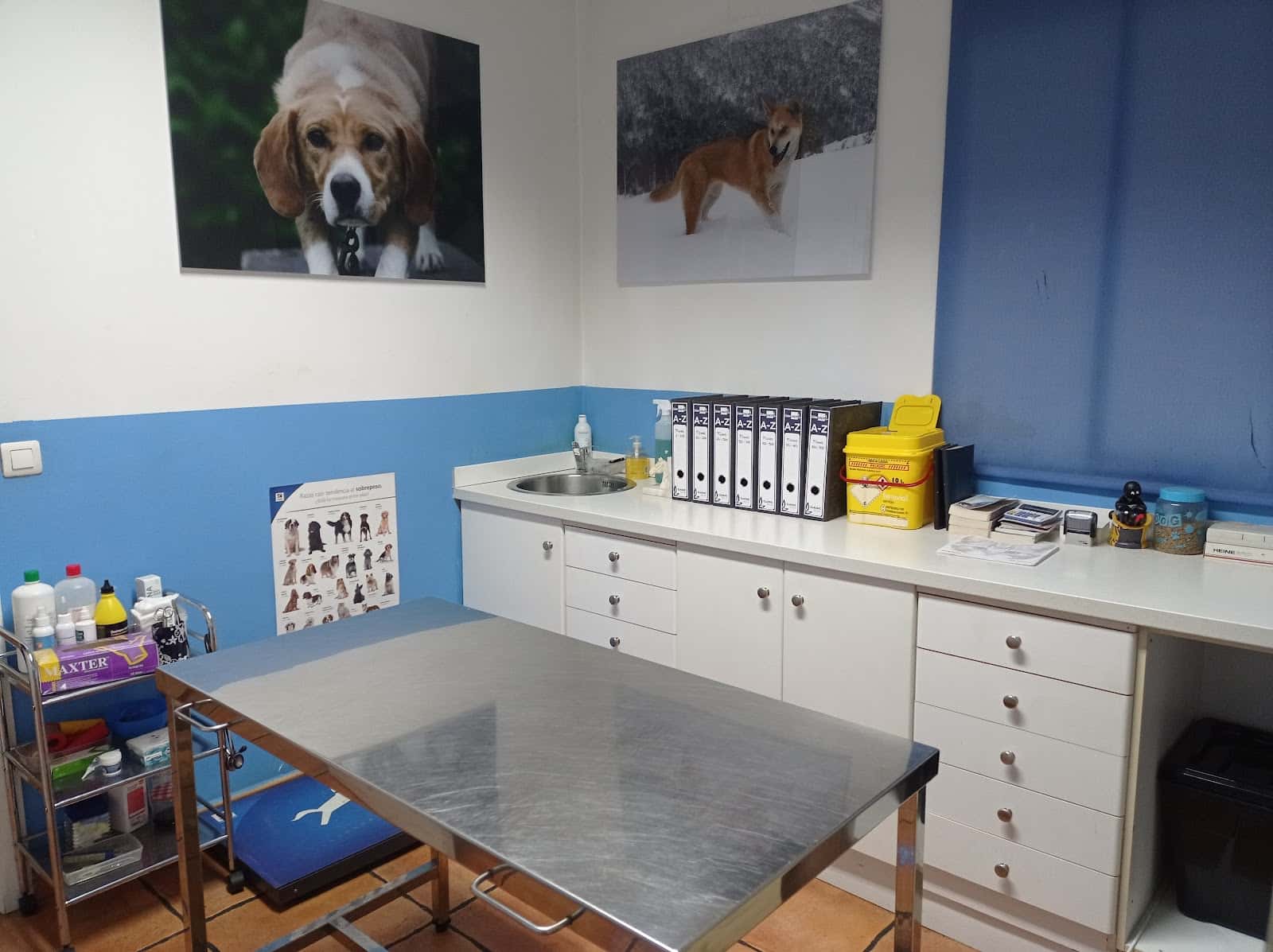 Centro Veterinario Macidog