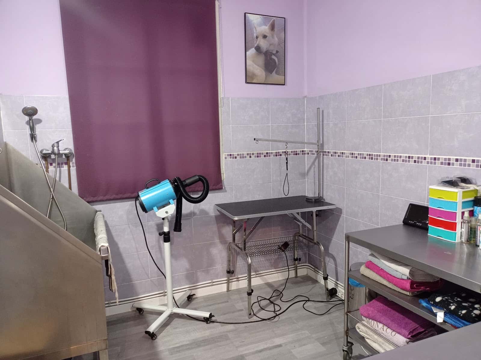 Centro Veterinario Macidog