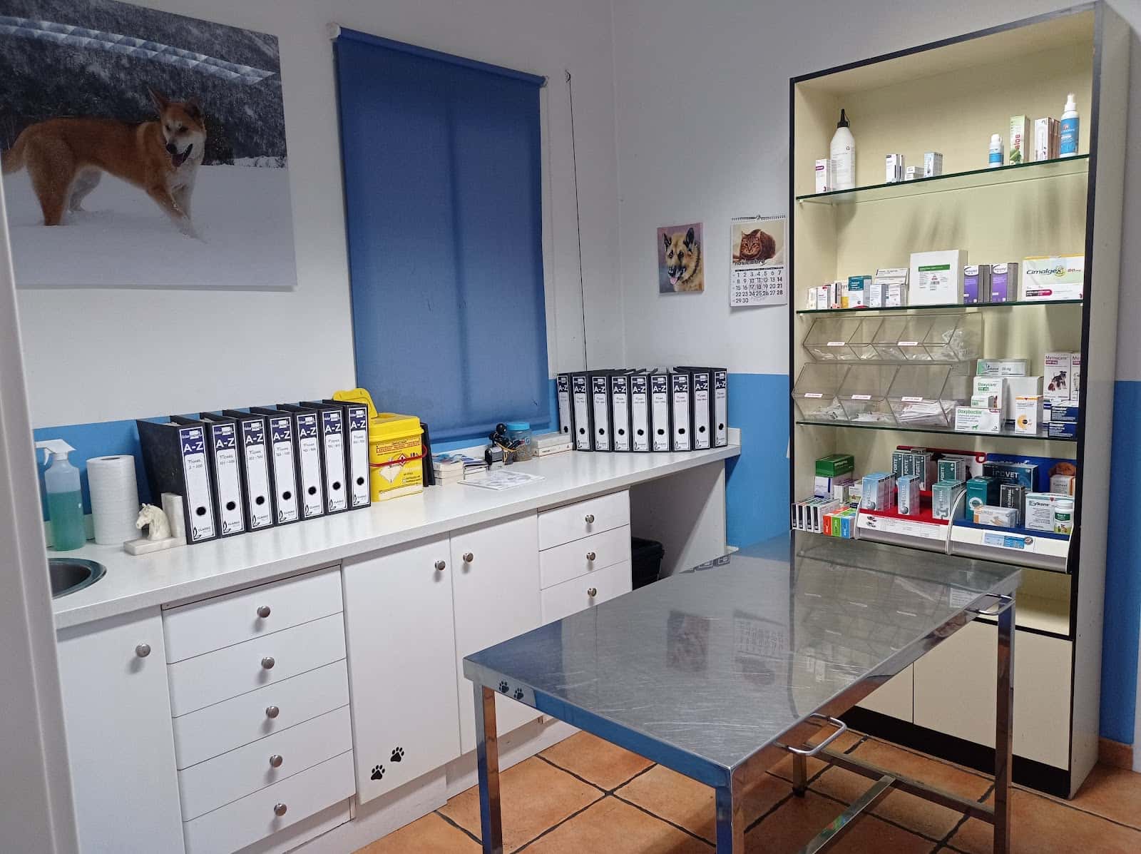 Centro Veterinario Macidog