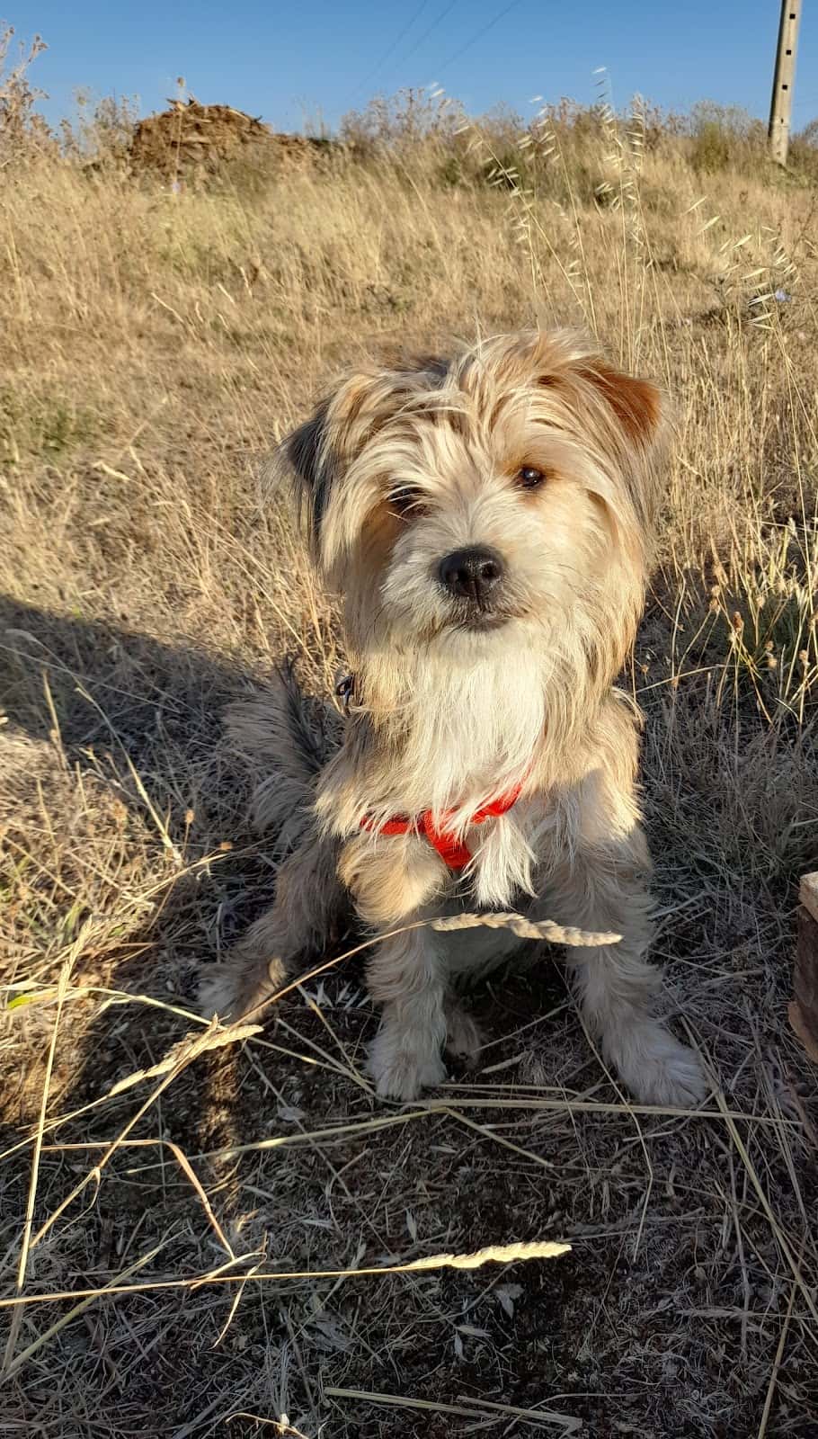 Clínica Veterinaria Ibáñez