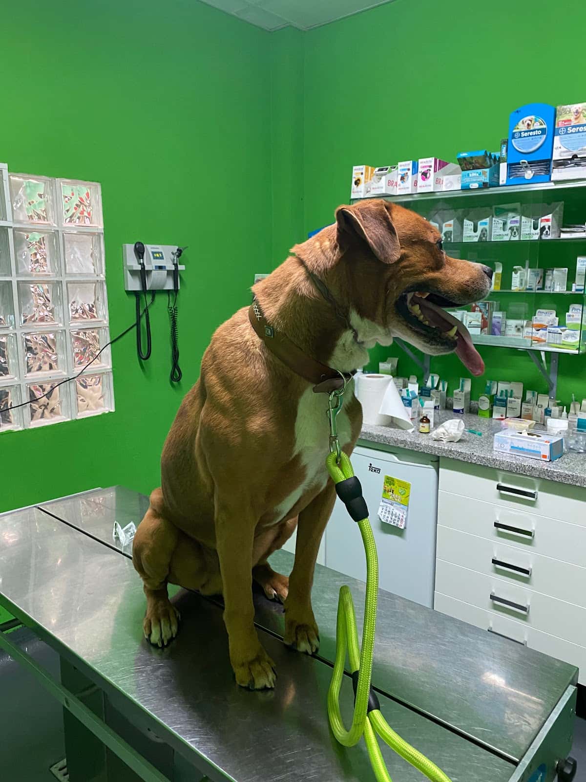 Clínica Veterinaria Gavilanes