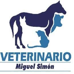 miguel simon fernandez veterinario centro en puebla de sanabria en zamora principalImage ADOPTA Sitios Pet Friendly