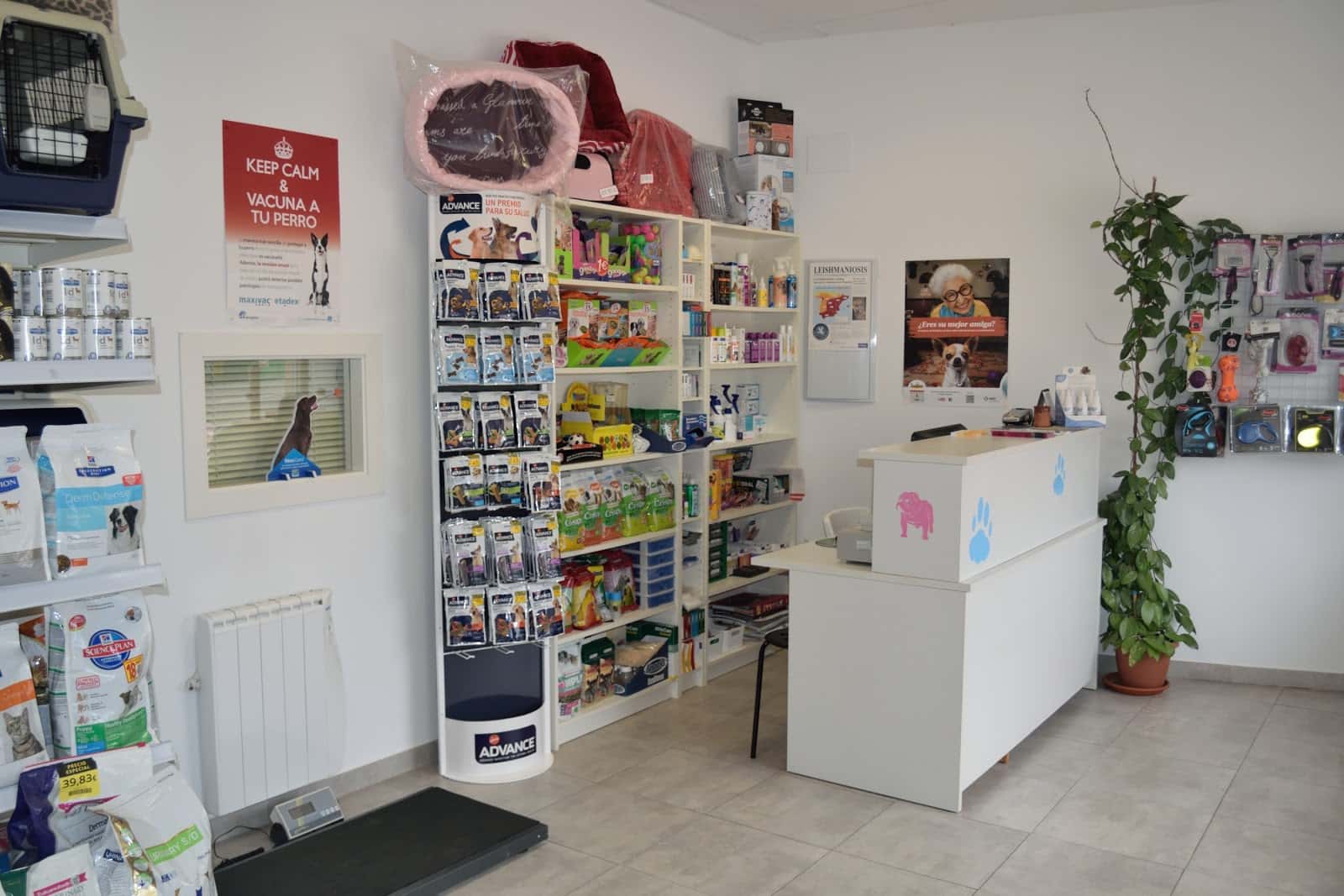 clinica veterinaria vetersan veterinario clinica en puebla en zamora principalImage ADOPTA Sitios Pet Friendly