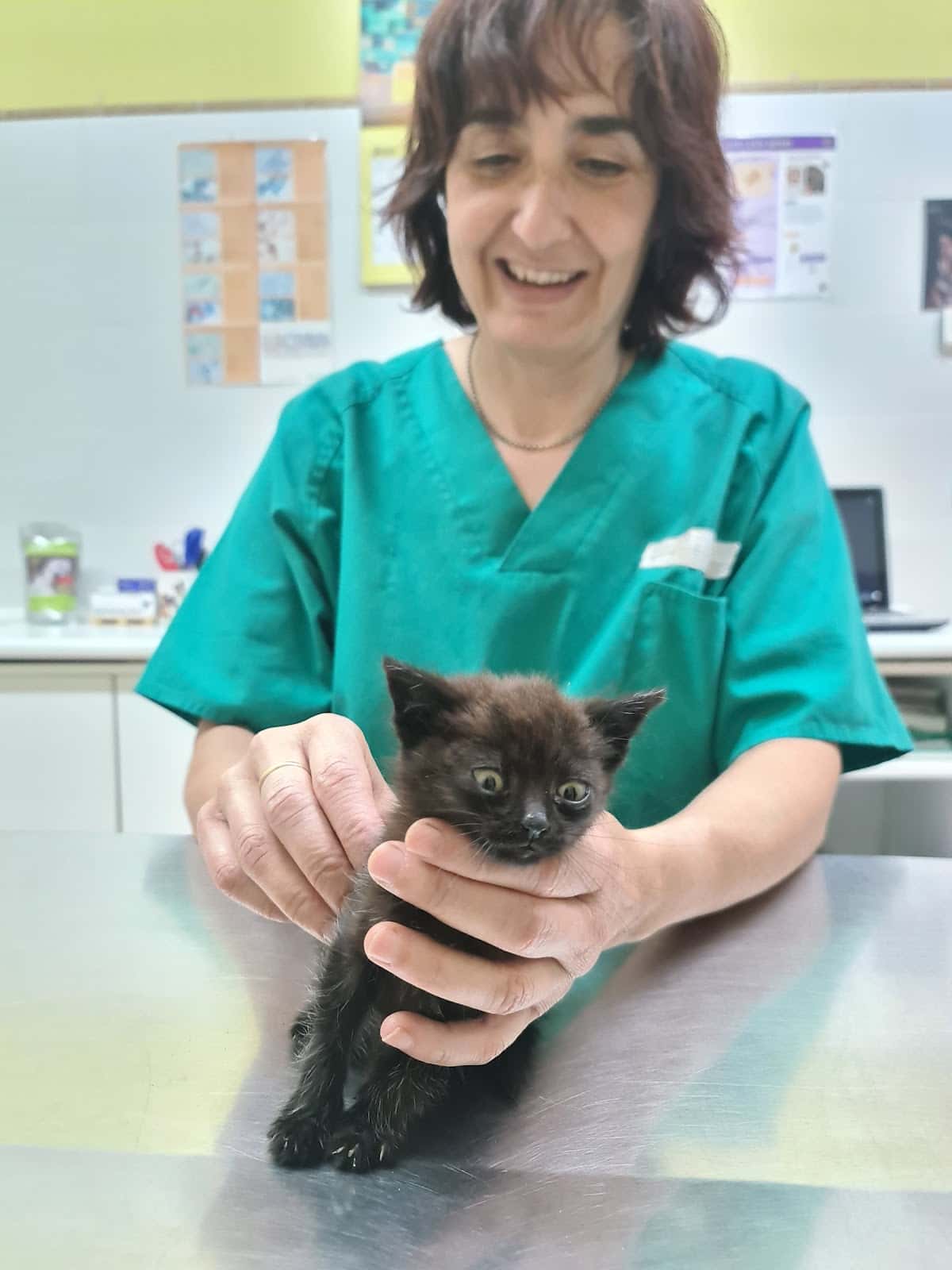 Clínica Veterinaria Camino