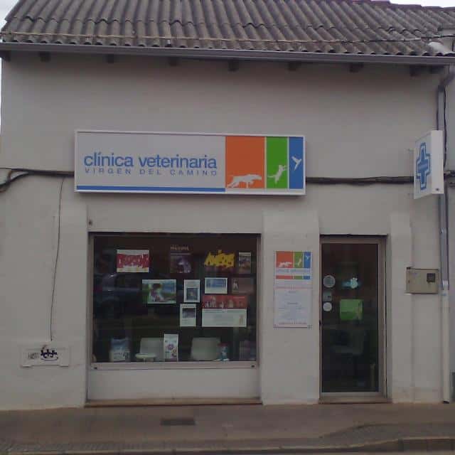 Clínica Veterinaria Virgen del Camino