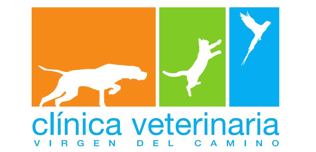 Clínica Veterinaria Virgen del Camino