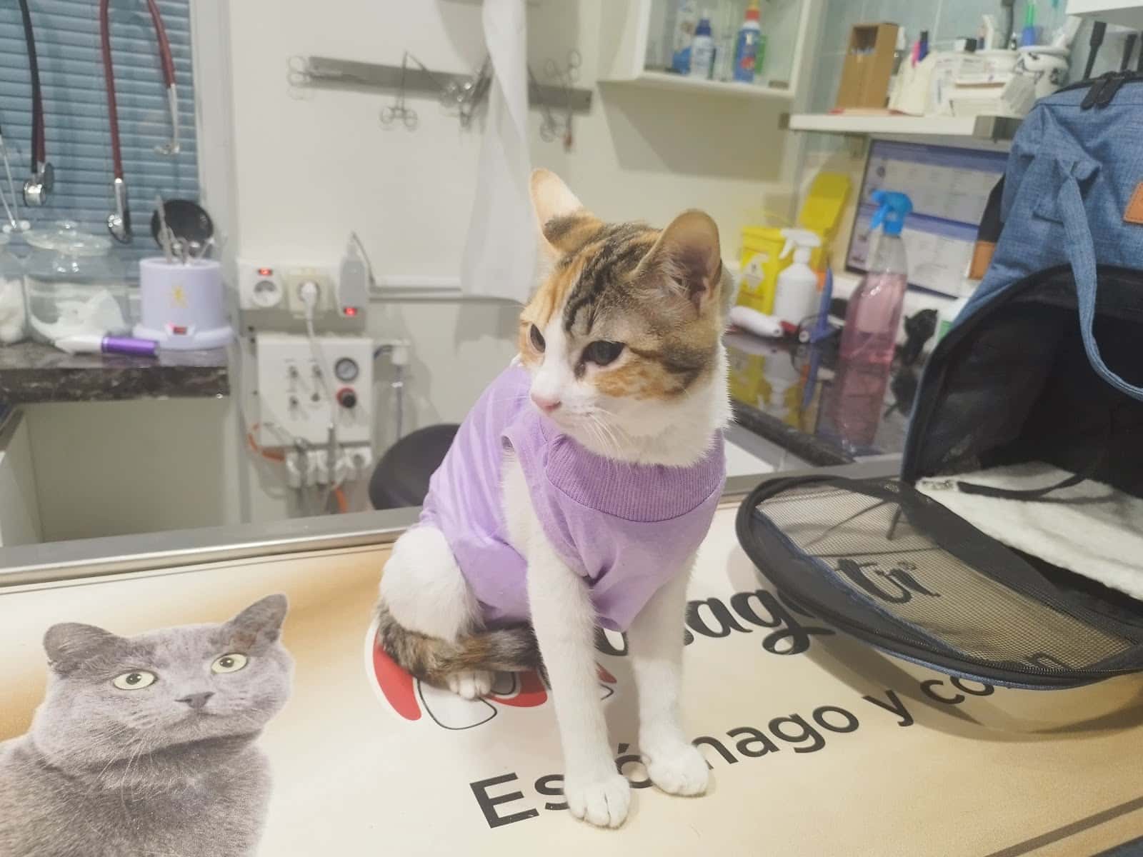 Clínica Veterinaria Jaime López