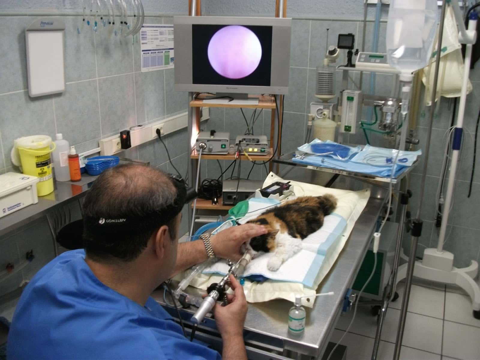 Clínica Veterinaria Jaime López
