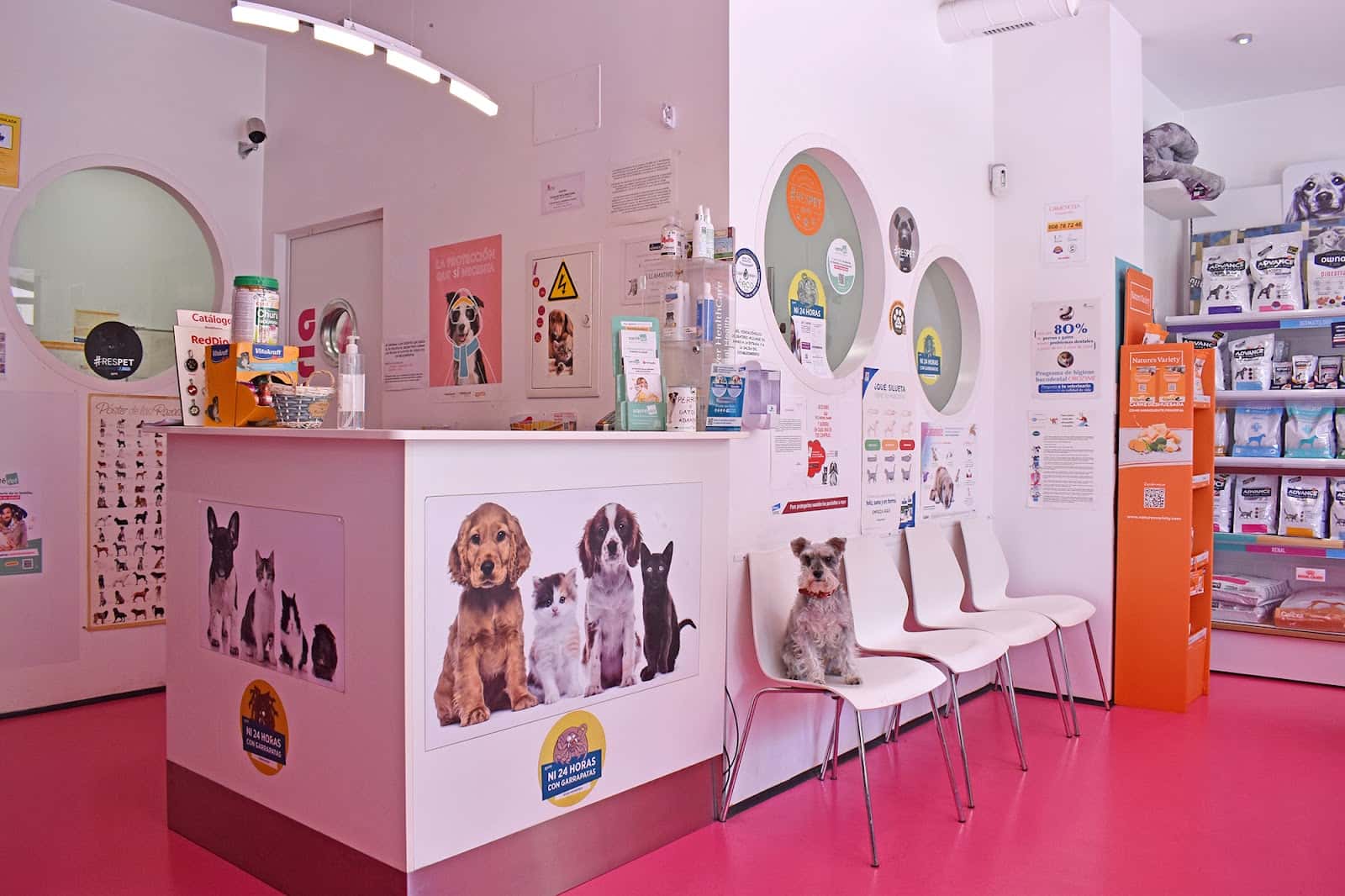 Veterinaria San Isidoro