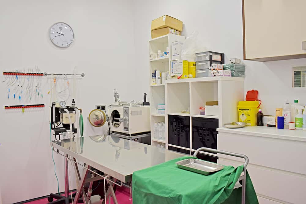 Veterinaria San Isidoro