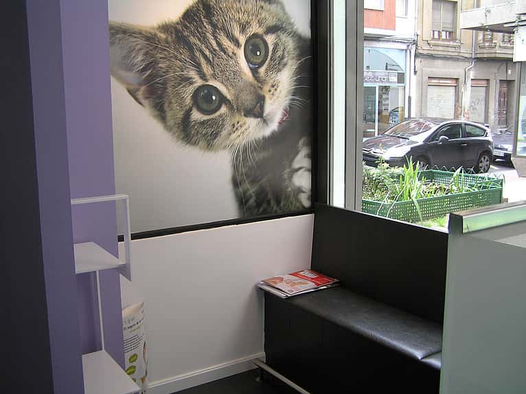 clinica veterinaria centro leon veterinario clinica barrio leon en leon en leon principalImage ADOPTA Sitios Pet Friendly